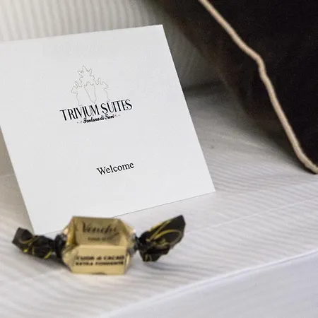 Trivium Fontana Di Trevi Guest house 3*
