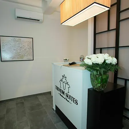 Trivium Fontana Di Trevi Guest house 3*