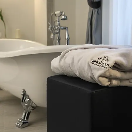 بيت ضيافة Trivium Fontana Di Trevi 3*